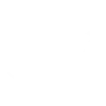 arrowwhite1